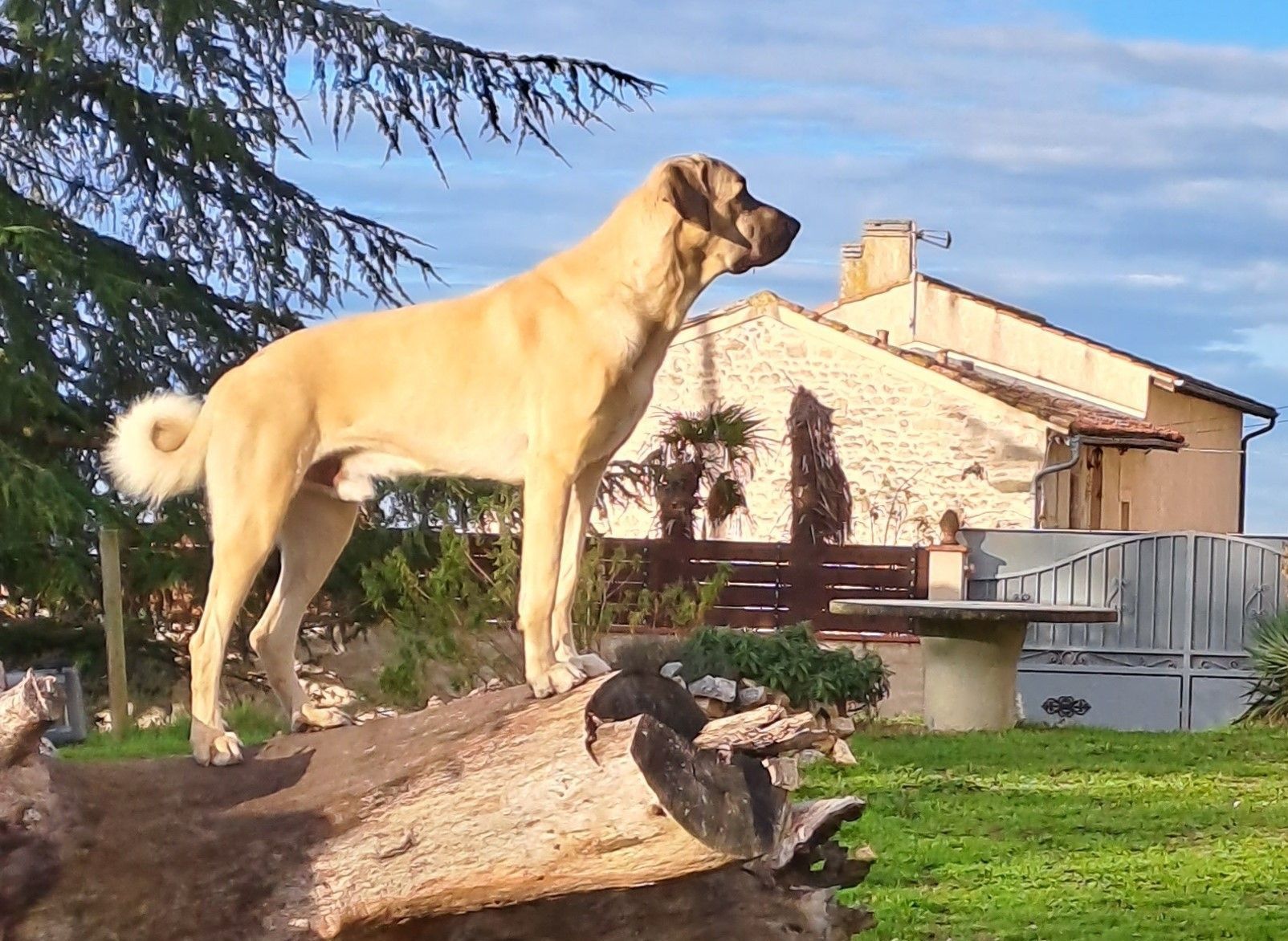 blockValue.7e455325-4cc3-418d-9842-c71d17e7ebab.url_img_2_alt